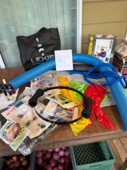Photo of free “Pilates” exercise kit (McCollum Park area) #3