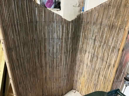 Photo of free Bamboo fencing (Keighley BD20) #4