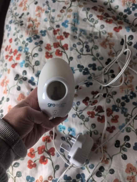 Photo of free Gro Egg (Booker Common, HP12) #1