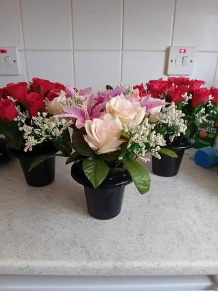 Photo of free Fake flowers in plastic pots (Rose Hill OX4) #1