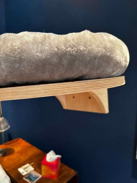 Photo of free Cat shelf (West Norwood SE21) #1