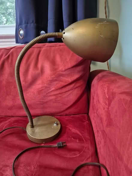 Photo of free Goose-neck Lamp (East Silver Spring) #1