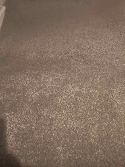 Photo of free Grey carpet (Dublin 12) #3