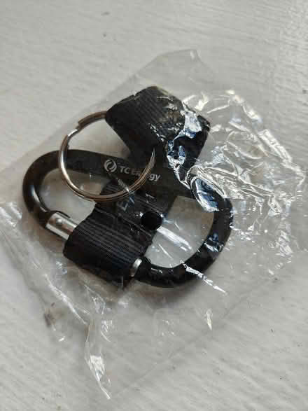 Photo of free Caribiner key chain unused (Hamilton Heights) #2