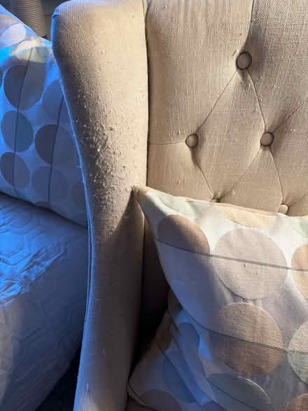 Photo of free wing back chairs (327Calvert rd Merion stationPA) #3