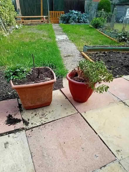 Photo of free Two plastic plant pots / Empty (Northampton Abington NN3) #1