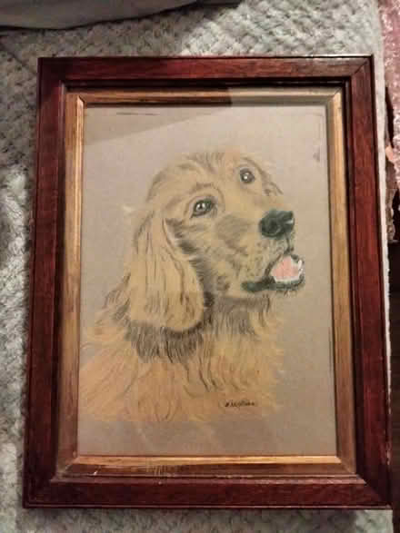 Photo of free Hand sketched spaniel & framed (B47) #1