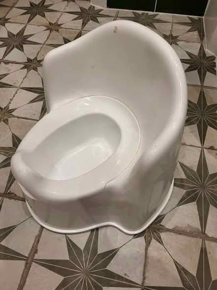 Photo of free Potty, used (Tunbridge Wells S. TN1) #2