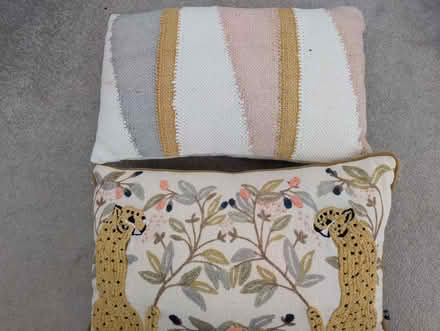 Photo of free Two cushions (Boxted CO4) #1