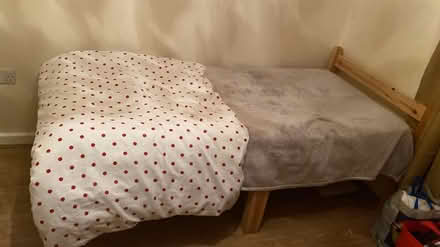 Photo of free Single bed (NG53EY) #1