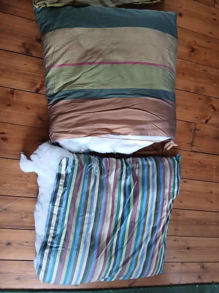 Photo of free Old cushions (High Heaton NE7) #1