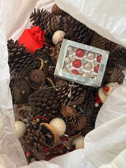 Photo of free Pine cones (Barton, oxford OX3 9) #1