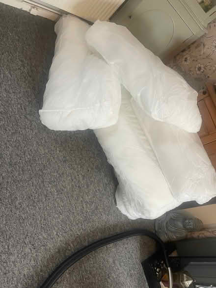 Photo of free Large amount of sofa inserts (Southdown BA2) #1