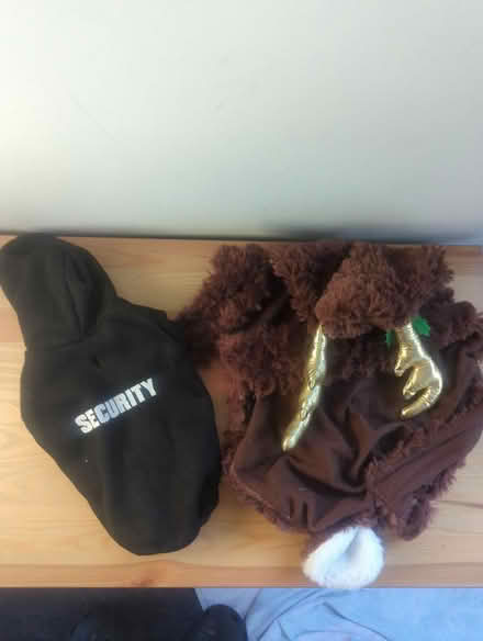Photo of free Dog costumes (Biddenham MK40) #2