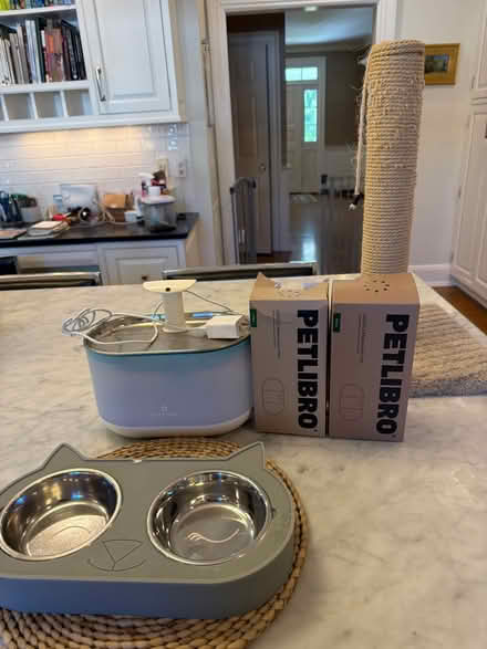Photo of free Cat care (New Canaan) #1