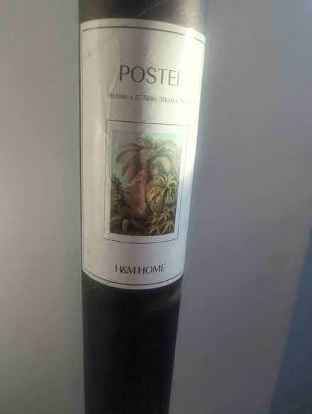 Photo of free Tropical poster (Biddenham MK40) #1
