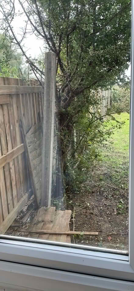 Photo of free Concrete Fence Posts (Dymchurch TN29) #1