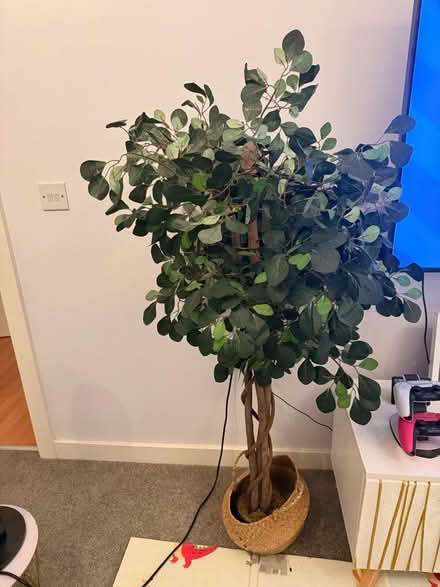 Photo of free Artificial tree (Welwyn Garden City AL7) #2
