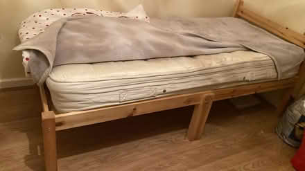 Photo of free Single bed (NG53EY) #3
