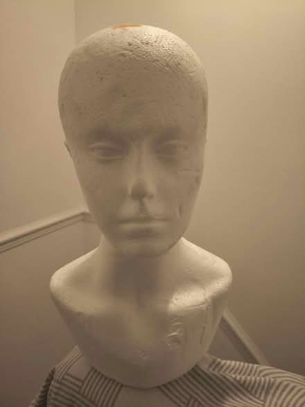 Photo of free Polystyrene mannequin head (used) (Croydon CR03) #1
