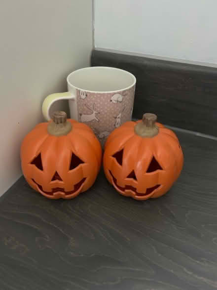 Photo of free Small plastic pumpkin decorations (Plumpton CA11) #2