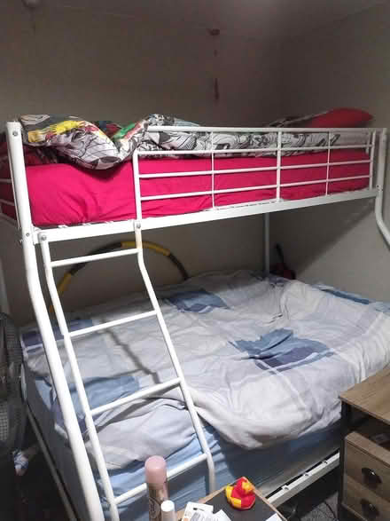 Photo of free bunk beds (Kendal LA9) #1