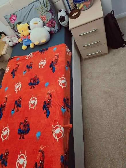 Photo of free Single bed and mattress (Witham CM8) #3