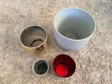Photo of free Indoor plant pots (Belper DE56) #4