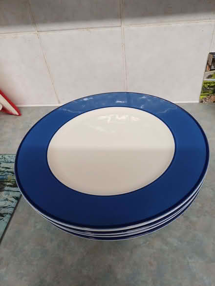 Photo of free 4 dinner plates (Earley RG6) #1