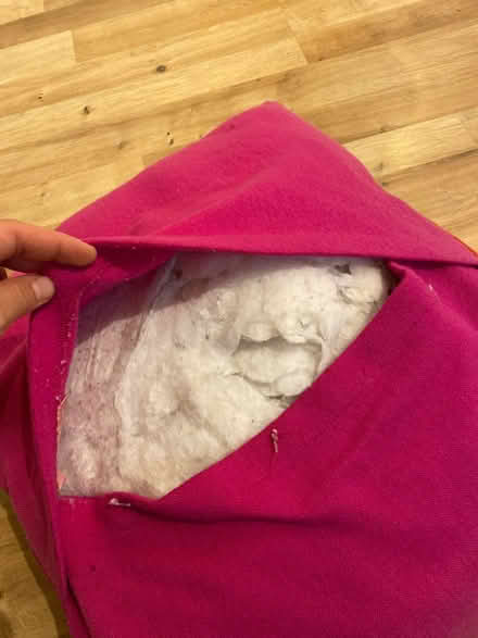 Photo of free Cushion and cover (Seven Dials BN1) #2