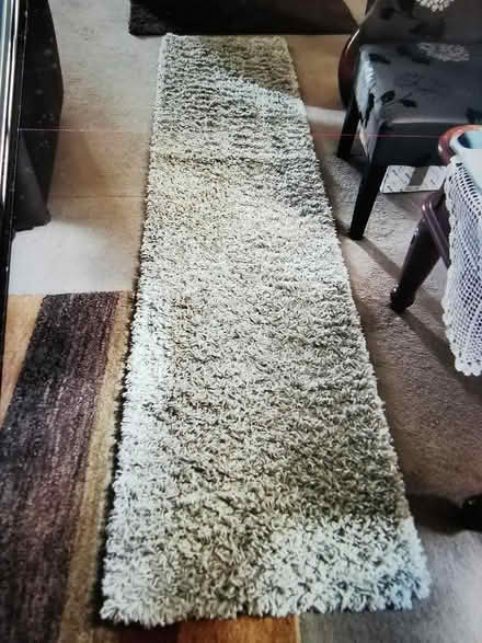 Photo of free Rug (Llansilin SY10) #1