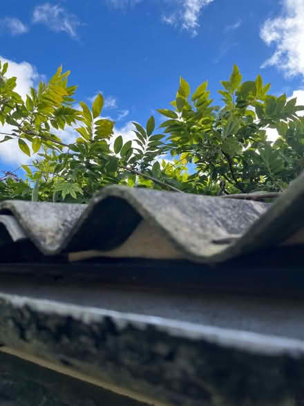 Photo of Small piece of corrugated roof sheeting- garage roof repair. (Bradway S17) #1