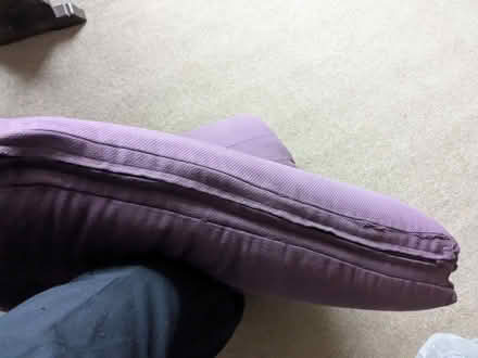 Photo of free Zipped futons (Thongsbridge) #3