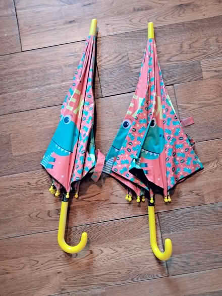 Photo of free 2 kids umbrellas (OX25, Weston on the green) #1