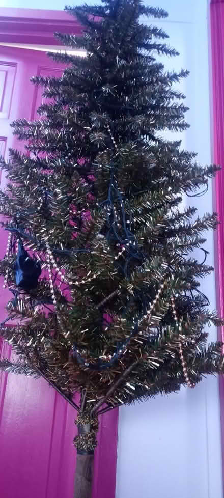 Photo of free Christmas tree (Camden North London) #1