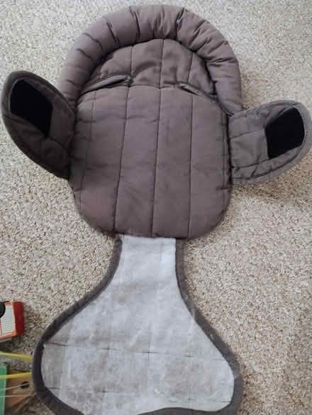 Photo of free Newborn insert (Street BA16) #3