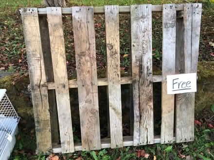 Photo of free Wood Pallet (Aurora (N Seattle/ Shoreline)) #1