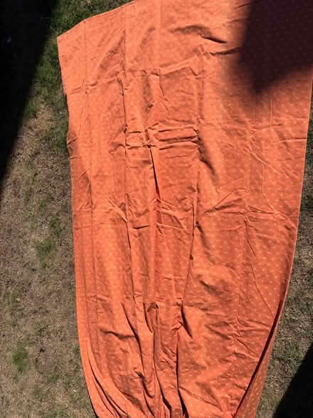 Photo of free Curtains (Ealing W5) #1