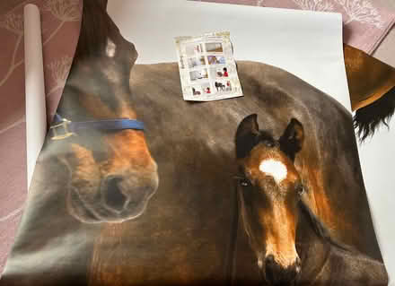 Photo of free huge mare & foal wall mural (L17 Aigburth) #2