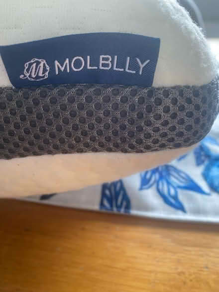 Photo of free Pillow (West Byfleet KT15) #2