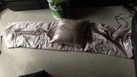 Photo of free bed throw and cushion (St Albans AL4) #1