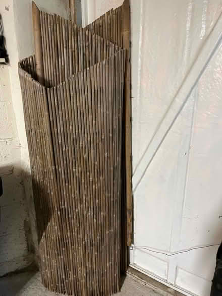 Photo of free Bamboo fencing (Keighley BD20) #1