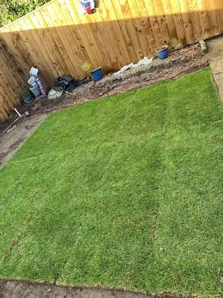 Photo of free Garden turf #2 (Ormesby) #1