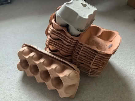 Photo of free eggboxes (Leckhampton GL53) #1