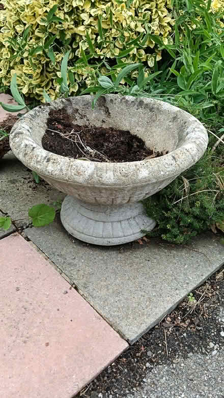 Photo of free Garden ornament (Sidley TN40) #1