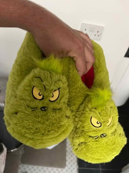 Photo of free Grinch slippers (Waterlooville PO7) #1
