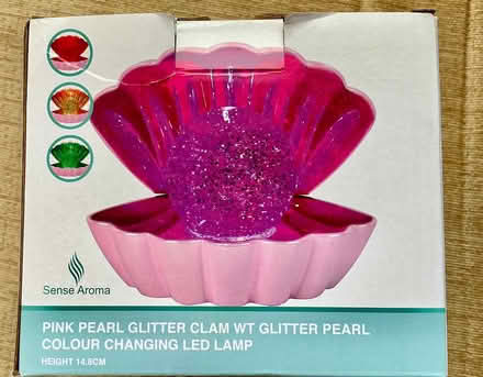 Photo of free Clamshell Lamp with Glitter Pearl (Micklefield HP13) #1