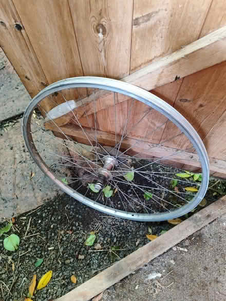 Photo of free Bike wheel (North Lichfield WS13) #1