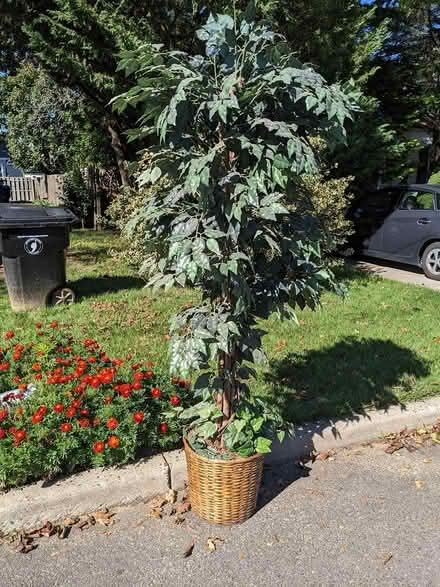 Photo of free Artificial Plant/Tree (Belford, N.J.) #1