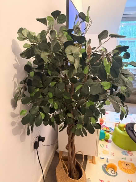 Photo of free Artificial tree (Welwyn Garden City AL7) #1